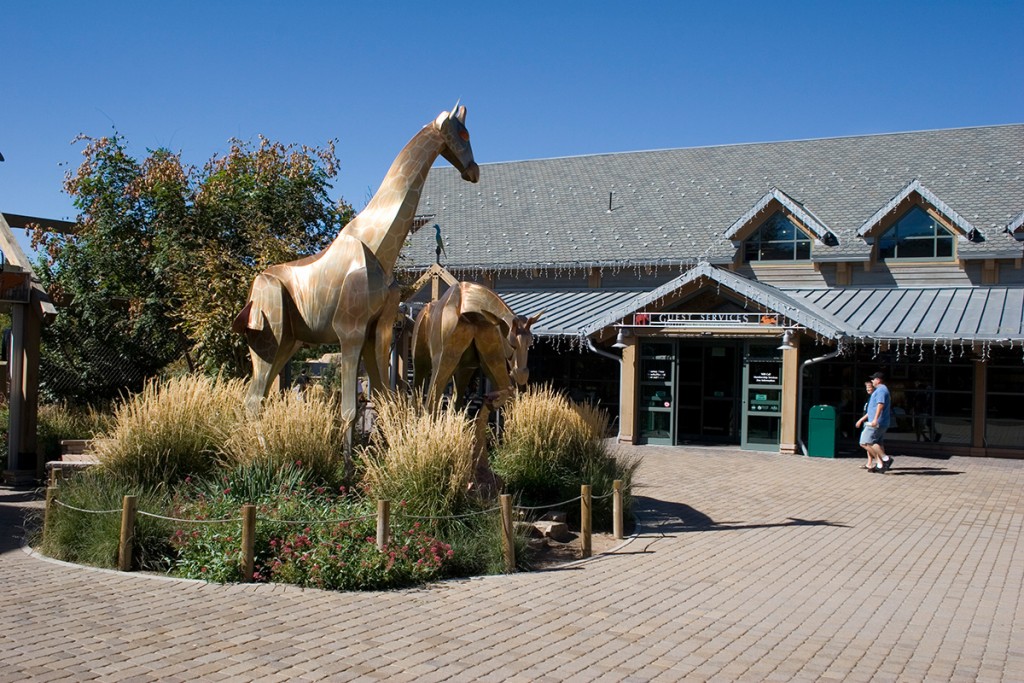 half marathon, denver zoo, colfax marathon