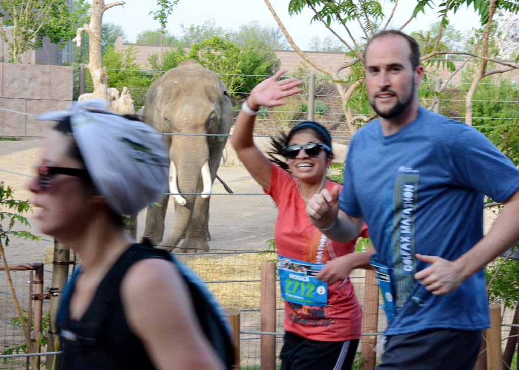 colfax marathon half