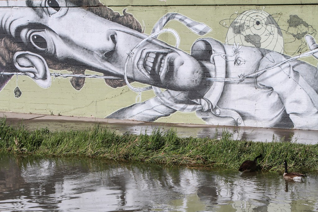denver street art, denver mural, cherry creek path, marathon course on river, urban marathon
